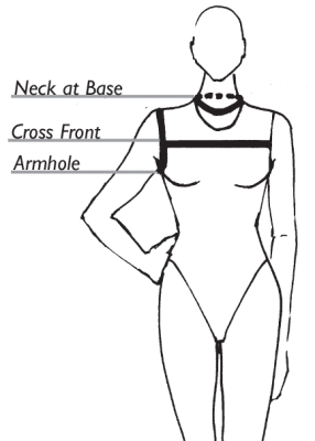 body measurement sketch